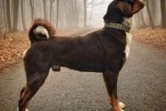 31071_dusty-spod-hradze