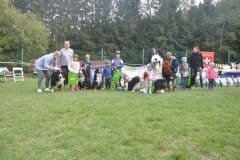 dieta_a_pes-scaled