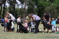 IMG_84751