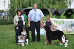 BSP_BOB_BOS-1-scaled