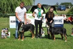 VSSP_BOB_BOS-1-scaled