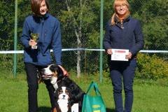 SV_mlady_vystavovatel