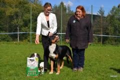 SV_nakrajsi_z_triedy_cestnej