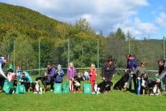 SV_sutaz_dieta_a_pes