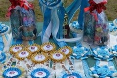 12-DSC_0726
