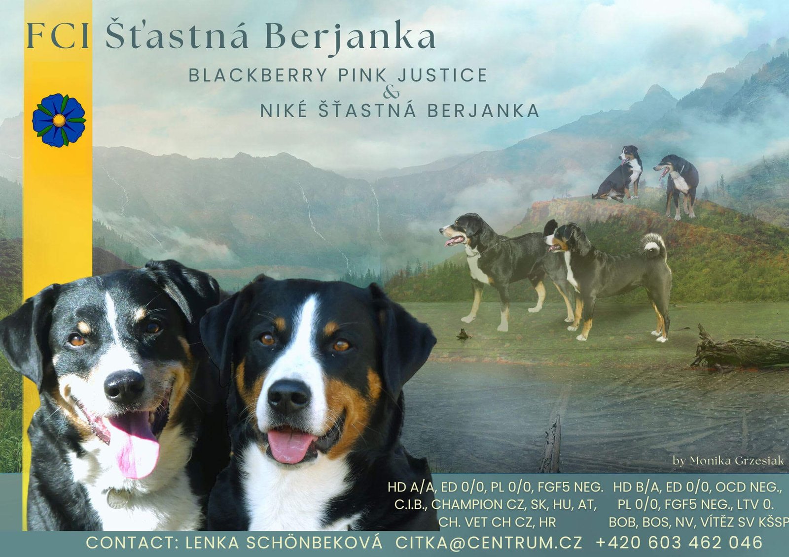 Obrázok stastna-berjanka-vrh-t