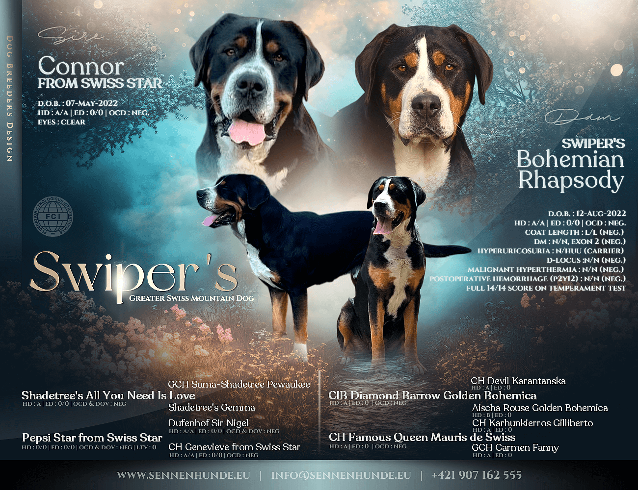 Obrázok connor-bohemian-rhapsody-mating-and-pedigree