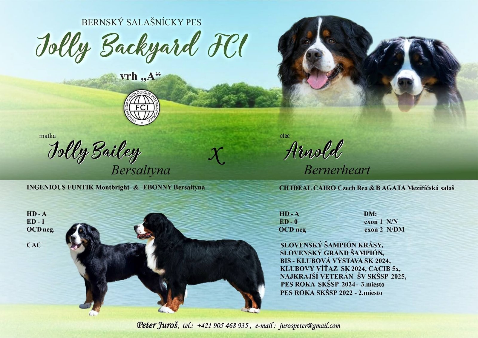 Obrázok jolly-backyard-litter-a-1