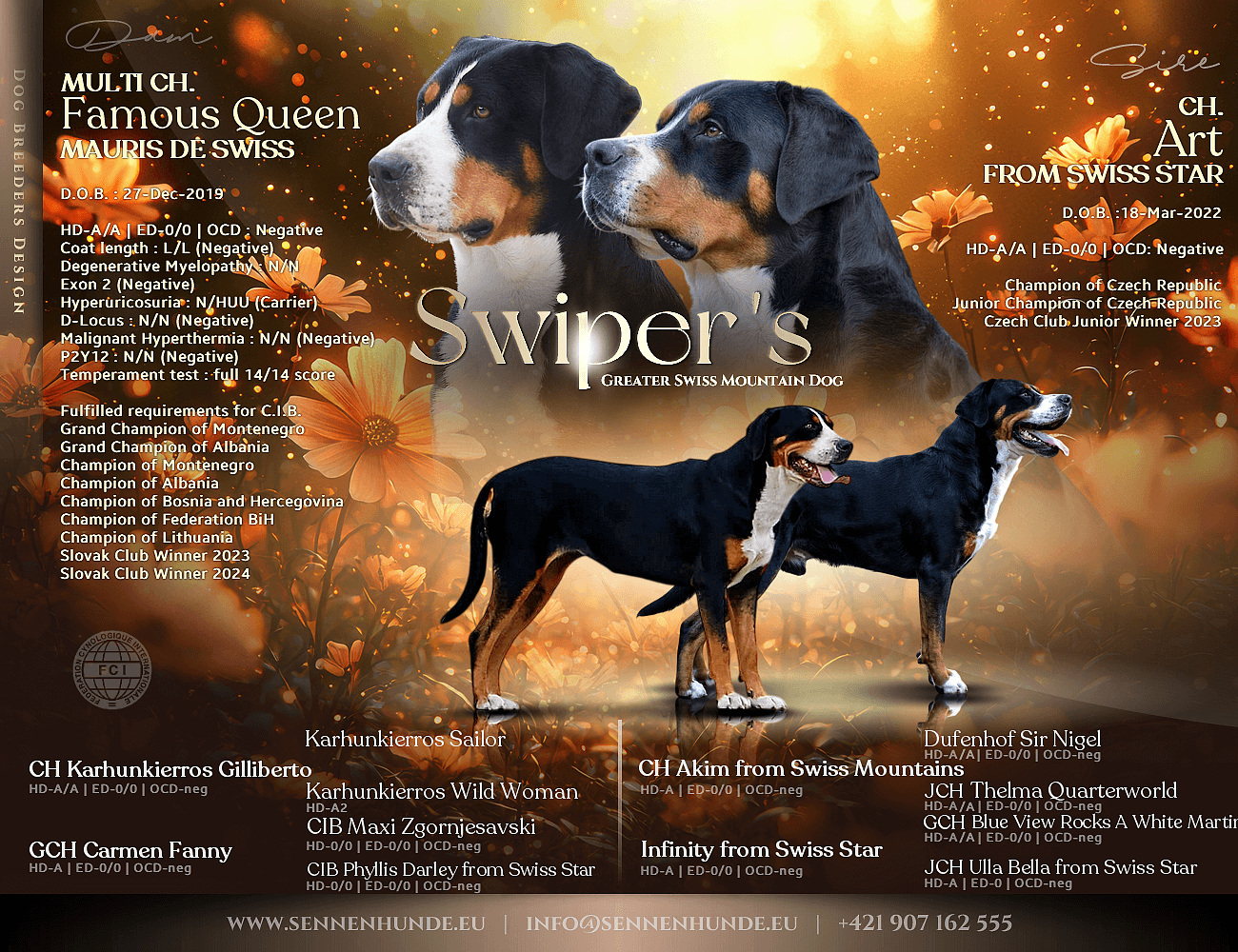 Obrázok art-from-swissstar-famous-queen-mauris-de-swiss-puppies-poster