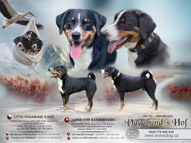 Obrázok vagabunds-hof-vrh